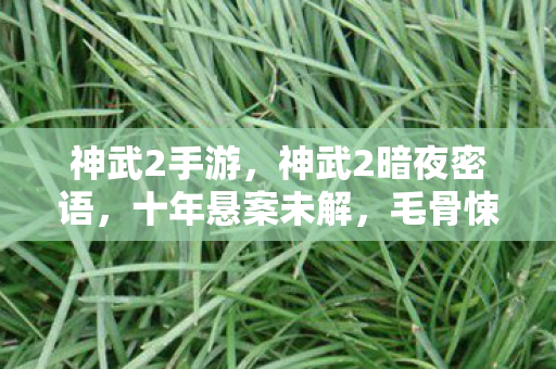 神武2手游,神武2暗夜密语,十年悬案未解,毛骨悚然线索竟藏于我身? 神武2手游,神武2暗夜密语,十年悬案未解,毛骨悚然线索竟藏于我身?