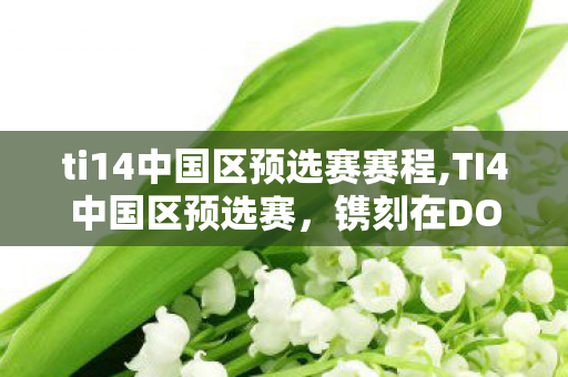 ti14中国区预选赛赛程,TI4中国区预选赛，镌刻在DOTA2记忆里的盛夏热血序章