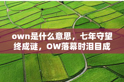 own是什么意思，七年守望终成谜，OW落幕时泪目成诗