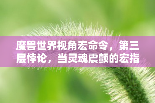 魔兽世界视角宏命令，第三层悖论，当灵魂震颤的宏指令撕裂虚拟与现实的次元壁