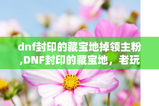 dnf封印的藏宝地掉领主粉,DNF封印的藏宝地，老玩家记忆里闪着光的阿拉德秘境