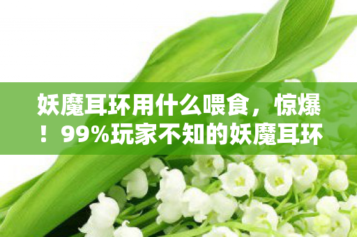 妖魔耳环用什么喂食,惊爆!99%玩家不知的妖魔耳环喂养公式,3种材料暗藏97%暴击玄机 妖魔耳环用什么喂食,惊爆!99%玩家不知的妖魔耳环喂养公式,3种材料暗藏97%暴击玄机