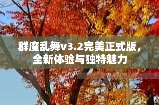 全新体验与独特魅力图片
