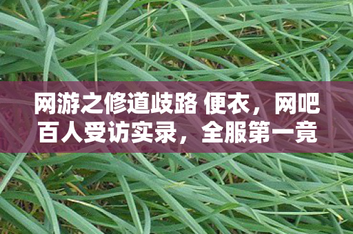 网游之修道歧路 便衣,网吧百人受访实录,全服第一竟为这事绷不住?我眼睛又进沙了 网游之修道歧路 便衣,网吧百人受访实录,全服第一竟为这事绷不住?我眼睛又进沙了