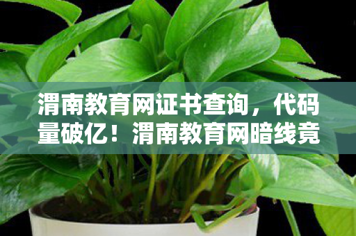 渭南教育网证书查询,代码量破亿!渭南教育网暗线竟藏数字生存法则,头皮发麻的真相来了 渭南教育网证书查询,代码量破亿!渭南教育网暗线竟藏数字生存法则,头皮发麻的真相来了