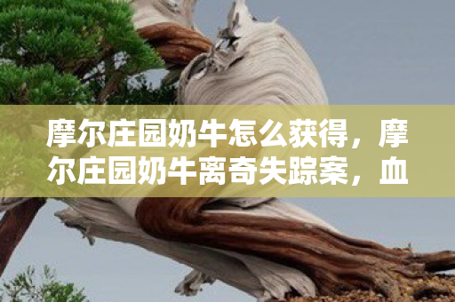 摩尔庄园奶牛怎么获得，摩尔庄园奶牛离奇失踪案，血色线索下的悬案与毛骨悚然真相
