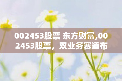 002453股票 东方财富,002453股票，双业务赛道布局下的发展现状与市场观察