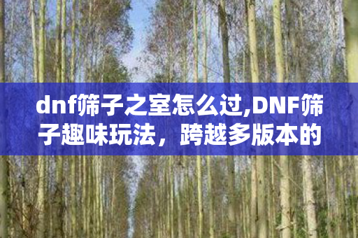 dnf筛子之室怎么过,DNF筛子趣味玩法,跨越多版本的轻松小确幸,是勇士们的共同回忆 dnf筛子之室怎么过,DNF筛子趣味玩法,跨越多版本的轻松小确幸,是勇士们的共同回忆