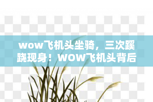 wow飞机头坐骑,三次蹊跷现身!WOW飞机头背后真相,让人后背发凉的秘密 wow飞机头坐骑,三次蹊跷现身!WOW飞机头背后真相,让人后背发凉的秘密