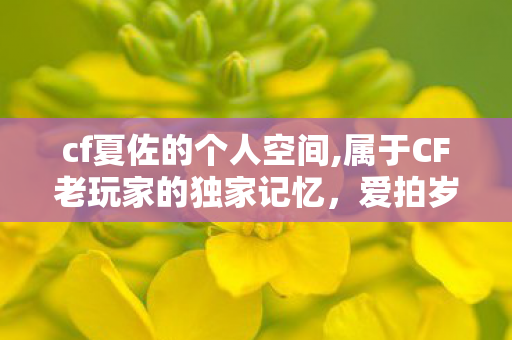 cf夏佐的个人空间,属于CF老玩家的独家记忆,爱拍岁月里的夏佐和他的个人空间 cf夏佐的个人空间,属于CF老玩家的独家记忆,爱拍岁月里的夏佐和他的个人空间