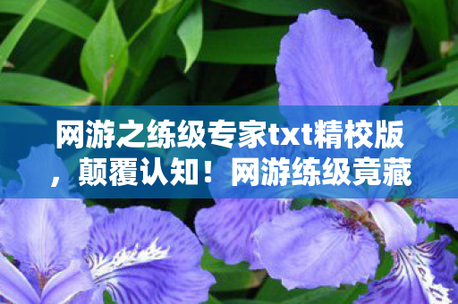 网游之练级专家txt精校版，颠覆认知！网游练级竟藏着目瞪口呆的冷知识，时间膨胀陷阱