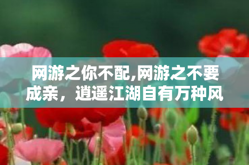 网游之你不配,网游之不要成亲，逍遥江湖自有万种风光