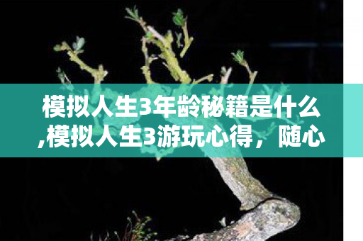 模拟人生3年龄秘籍是什么,模拟人生3游玩心得,随心调整年龄的实用趣味玩法指南 模拟人生3年龄秘籍是什么,模拟人生3游玩心得,随心调整年龄的实用趣味玩法指南