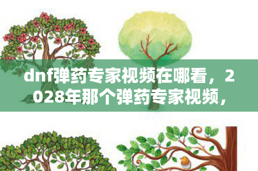 dnf弹药专家视频在哪看,2028年那个弹药专家视频,藏着伏笔,如今再看鼻子一酸 dnf弹药专家视频在哪看,2028年那个弹药专家视频,藏着伏笔,如今再看鼻子一酸