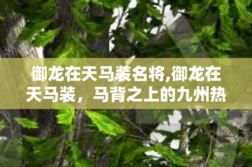 御龙在天马装名将,御龙在天马装,马背之上的九州热血印记 御龙在天马装名将,御龙在天马装,马背之上的九州热血印记
