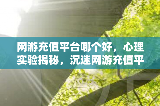 网游充值平台哪个好，心理实验揭秘，沉迷网游充值平台，细思极恐的自我陷阱