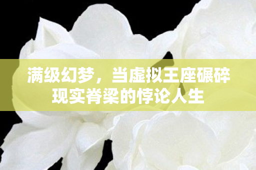 满级幻梦,当虚拟王座碾碎现实脊梁的悖论人生 满级幻梦,当虚拟王座碾碎现实脊梁的悖论人生