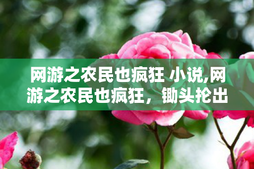 网游之农民也疯狂 小说,网游之农民也疯狂，锄头抡出的别样虚拟江湖