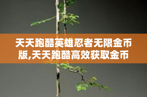 天天跑酷英雄忍者无限金币版,天天跑酷高效获取金币全攻略,轻松解锁心仪装备的实用技巧 天天跑酷英雄忍者无限金币版,天天跑酷高效获取金币全攻略,轻松解锁心仪装备的实用技巧