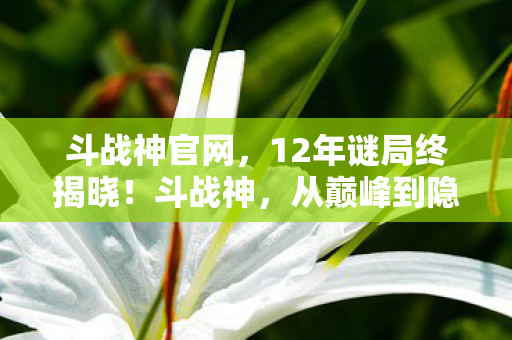 斗战神官网，12年谜局终揭晓！斗战神，从巅峰到隐匿的泪目征程