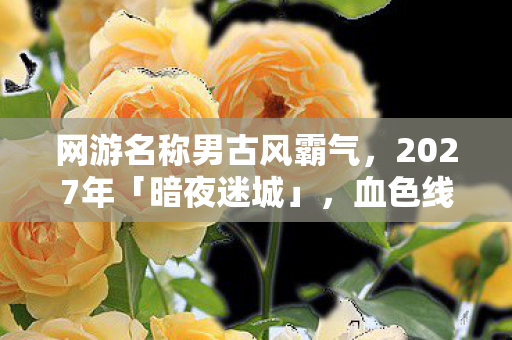 网游名称男古风霸气，2027年「暗夜迷城」，血色线索引悬案，毛骨悚然终局竟是我自己