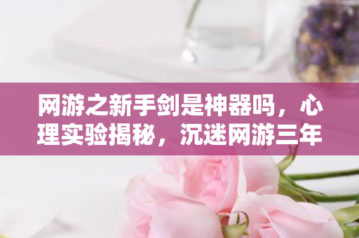 网游之新手剑是神器吗,心理实验揭秘,沉迷网游三年,新手剑背后细思极恐的真相 网游之新手剑是神器吗,心理实验揭秘,沉迷网游三年,新手剑背后细思极恐的真相