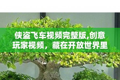 侠盗飞车视频完整版,创意玩家视频,藏在开放世界里的万千乐趣 侠盗飞车视频完整版,创意玩家视频,藏在开放世界里的万千乐趣