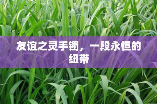 一段永恒的纽带图片