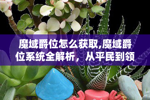 魔域爵位怎么获取,魔域爵位系统全解析,从平民到领主的荣耀进阶之路 魔域爵位怎么获取,魔域爵位系统全解析,从平民到领主的荣耀进阶之路