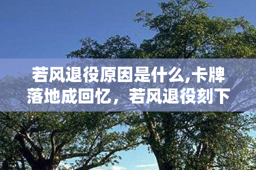 若风退役原因是什么,卡牌落地成回忆,若风退役刻下的中国电竞初代注脚 若风退役原因是什么,卡牌落地成回忆,若风退役刻下的中国电竞初代注脚