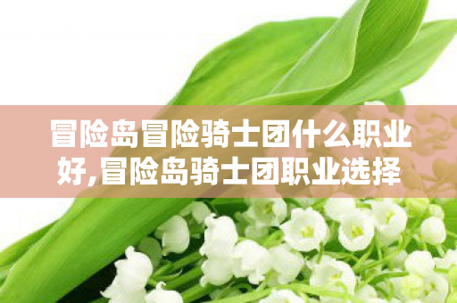 冒险岛冒险骑士团什么职业好,冒险岛骑士团职业选择指南,适配不同游玩偏好的最优解参考 冒险岛冒险骑士团什么职业好,冒险岛骑士团职业选择指南,适配不同游玩偏好的最优解参考