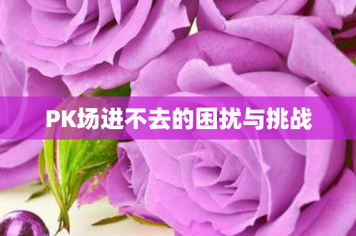 PK场进不去的困扰与挑战图片
