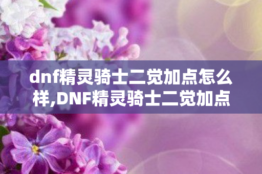 dnf精灵骑士二觉加点怎么样,DNF精灵骑士二觉加点全解析，适配多场景的高容错配点方案
