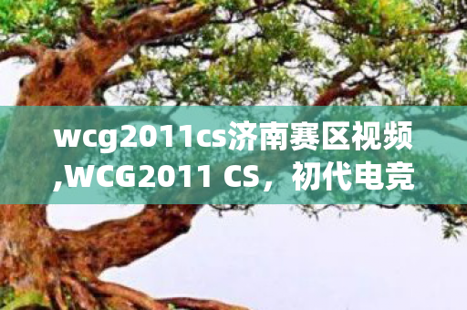 wcg2011cs济南赛区视频,WCG2011 CS,初代电竞迷藏在枪火里的集体青春印记 wcg2011cs济南赛区视频,WCG2011 CS,初代电竞迷藏在枪火里的集体青春印记