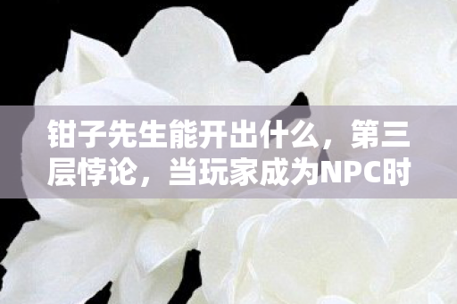 钳子先生能开出什么,第三层悖论,当玩家成为NPC时,命运是自由选择还是既定程序? 钳子先生能开出什么,第三层悖论,当玩家成为NPC时,命运是自由选择还是既定程序?