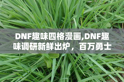 DNF趣味四格漫画,DNF趣味调研新鲜出炉,百万勇士的游戏日常居然这么有梗 DNF趣味四格漫画,DNF趣味调研新鲜出炉,百万勇士的游戏日常居然这么有梗