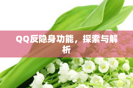 QQ反隐身功能图片