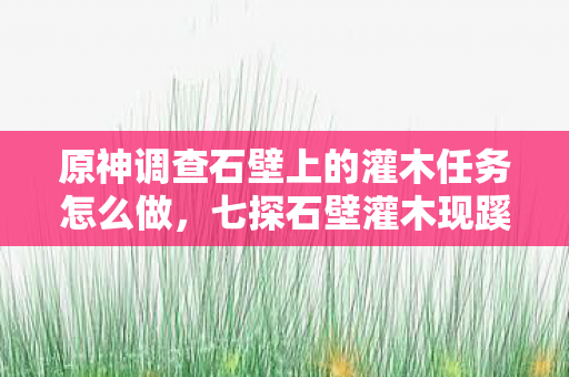 原神调查石壁上的灌木任务怎么做，七探石壁灌木现蹊跷，后背发凉真相渐浮