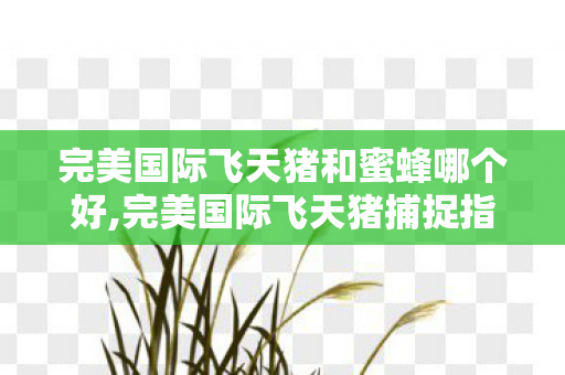完美国际飞天猪和蜜蜂哪个好,完美国际飞天猪捕捉指南,萌趣灵宠的寻访全攻略 完美国际飞天猪和蜜蜂哪个好,完美国际飞天猪捕捉指南,萌趣灵宠的寻访全攻略