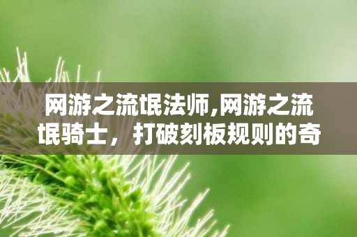 网游之流氓法师,网游之流氓骑士,打破刻板规则的奇幻冒险之旅 网游之流氓法师,网游之流氓骑士,打破刻板规则的奇幻冒险之旅