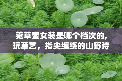 菀草壹女装是哪个档次的,玩草艺,指尖缠绕的山野诗意与旧时光温度 菀草壹女装是哪个档次的,玩草艺,指尖缠绕的山野诗意与旧时光温度