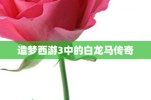 造梦西游3中的白龙马传奇图片