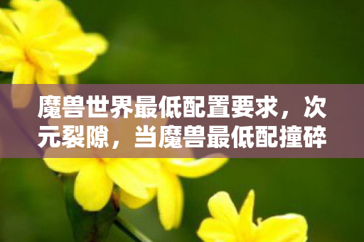 魔兽世界最低配置要求，次元裂隙，当魔兽最低配撞碎中年生存法则的悖论震颤