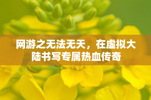 网游之无法无天，在虚拟大陆书写专属热血传奇
