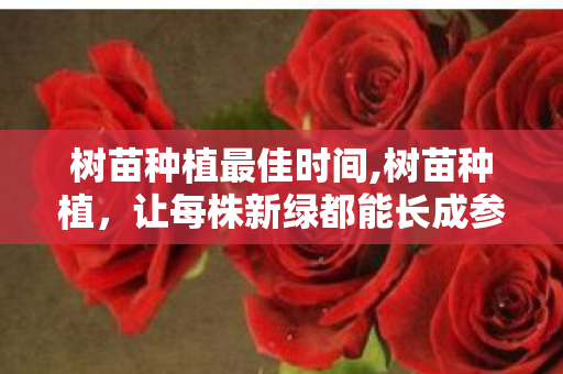 树苗种植最佳时间,树苗种植，让每株新绿都能长成参天模样