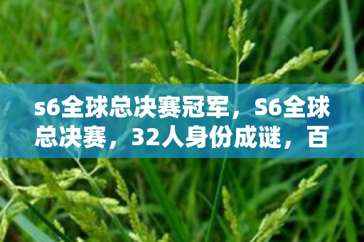 s6全球总决赛冠军,S6全球总决赛,32人身份成谜,百万玩家集体破防! s6全球总决赛冠军,S6全球总决赛,32人身份成谜,百万玩家集体破防!