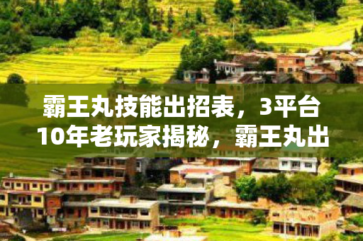 霸王丸技能出招表,3平台10年老玩家揭秘,霸王丸出招表背后,谁读懂了他的孤独? 霸王丸技能出招表,3平台10年老玩家揭秘,霸王丸出招表背后,谁读懂了他的孤独?