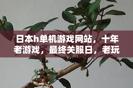 日本h单机游戏网站,十年老游戏,最终关服日,老玩家泪目告别 日本h单机游戏网站,十年老游戏,最终关服日,老玩家泪目告别