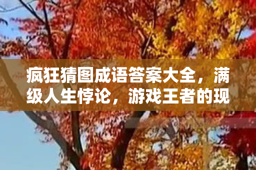 疯狂猜图成语答案大全,满级人生悖论,游戏王者的现实深渊,灵魂震颤的层级错位 疯狂猜图成语答案大全,满级人生悖论,游戏王者的现实深渊,灵魂震颤的层级错位