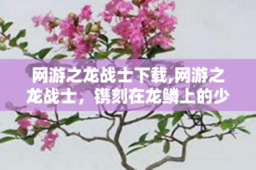 网游之龙战士下载,网游之龙战士，镌刻在龙鳞上的少年征途